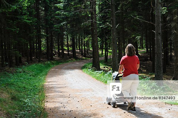 Mother with child in pram strolling in forest