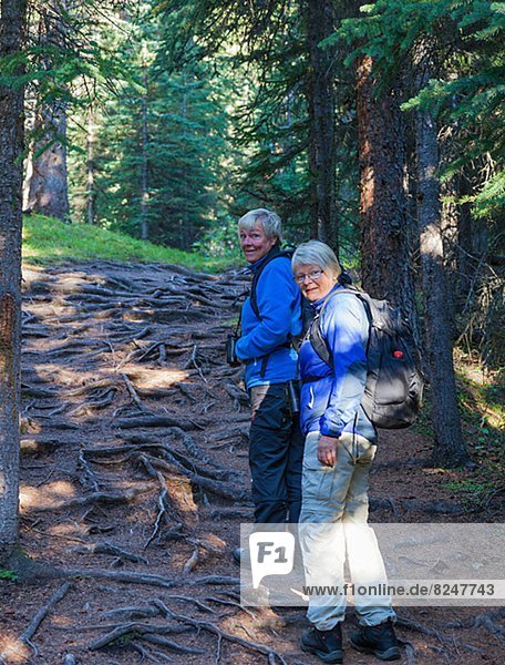 Two female hikers walking through forest  Jaspr National Park  Canada