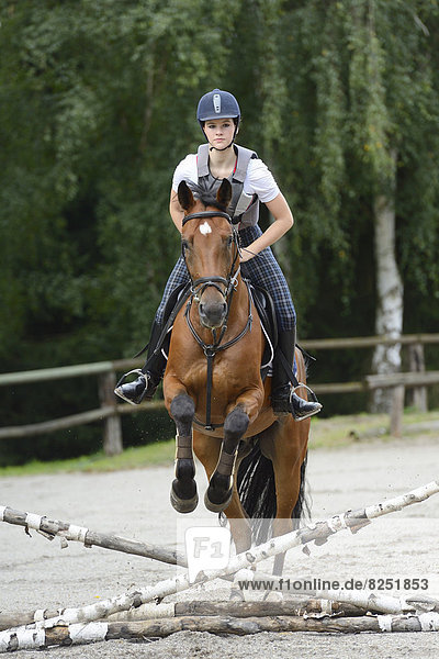 Teenage girl jumping with a Mecklenburger horse on a riding place