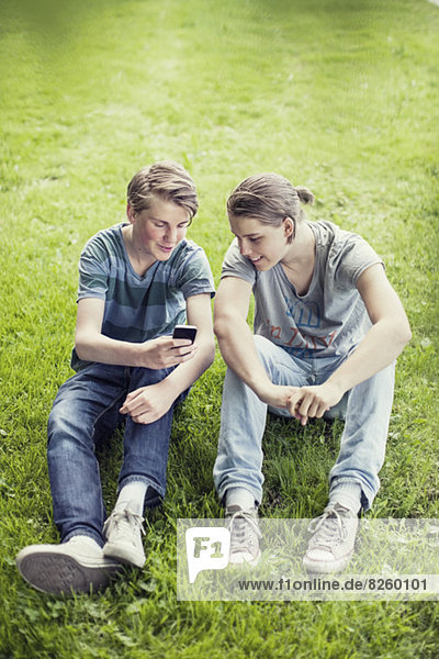 Young male friends using mobile phone on grass at park