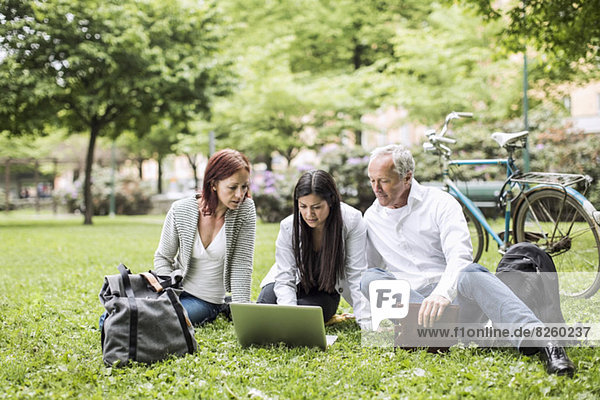 Business people using laptop while relaxing on grass at park