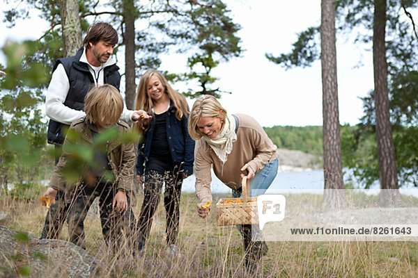 Family with two kids picking mushrooms