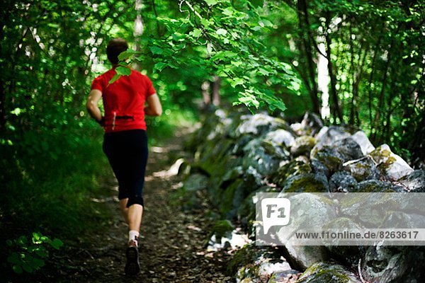 Mann  rennen  Wald  Schweden