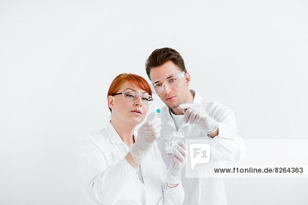 Zwei Wissenschaftler im Labor