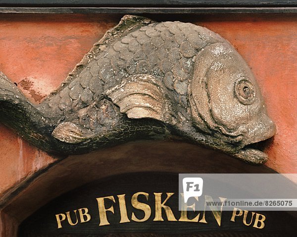 Fisch  Pisces  Eingang  Zeichen  Kneipe  Signal