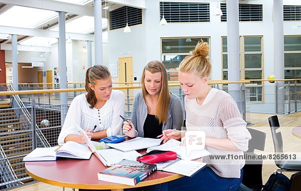 Young women studying together