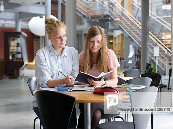 University students studying in cafe