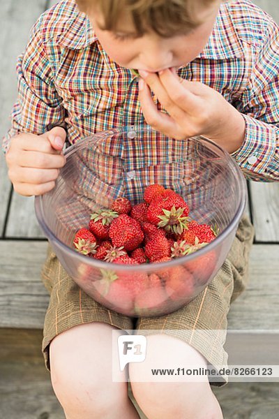 Junge - Person  Erdbeere  essen  essend  isst