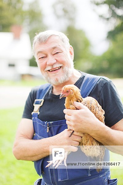 Smiling senior farmer holding chicken