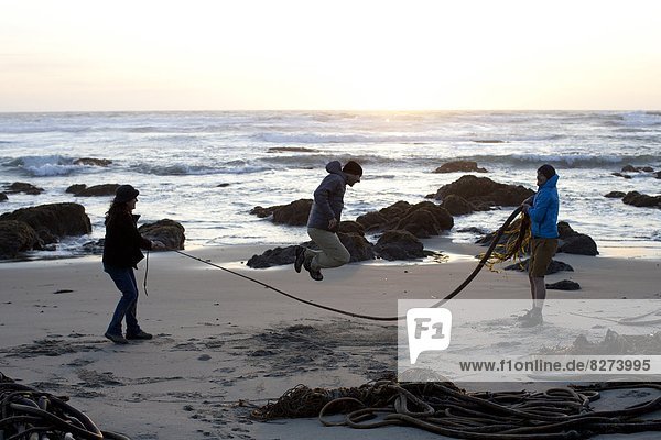 Three friends use a section of bull kelp as a jump rope while walking along the beach in Fort Bragg  California.