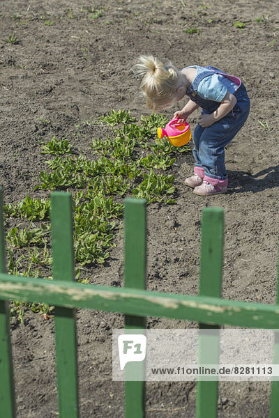 Mädchen gießen Pflanzen mit ihrer Gießkanne