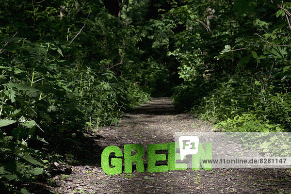 Grüne Rasenblockbuchstaben  die GRÜN auf einem Wanderweg in der Natur buchstabieren.