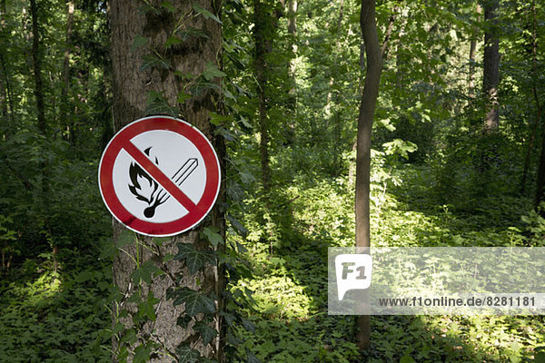 Ein Schild ohne offene Flammen  das auf einem Baum in einem bewaldeten Gebiet aufgestellt werden darf