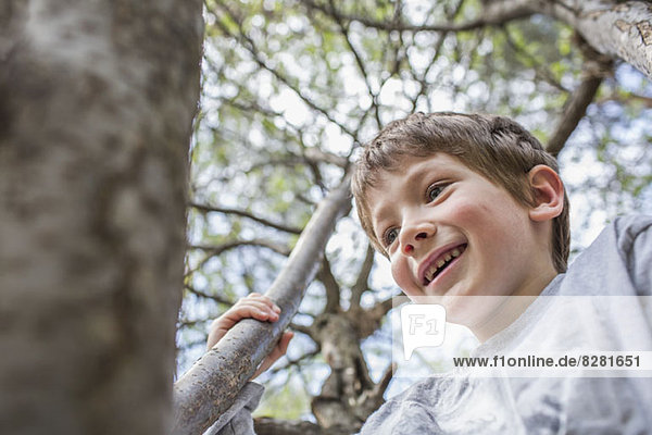 Ein fröhlicher Junge klettert auf einen Baum.