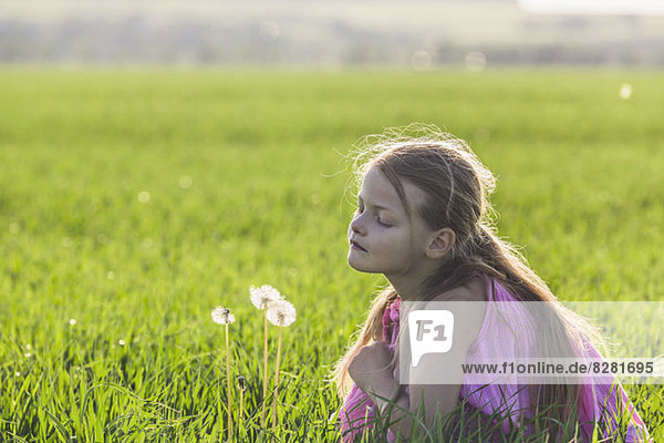 Ein junges Mädchen kniend  um neugierig auf einen Löwenzahn auf einem Feld zu schauen.