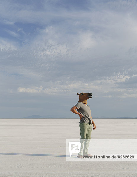 A Man Wearing A Horse Mask  Standing On The Bonneville Salt Flats.