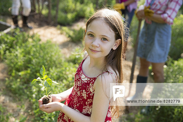 Eine Frau und ein Kind. Man hält eine junge Pflanze mit grünem Laub und einem gesunden Wurzelballen in den Händen.