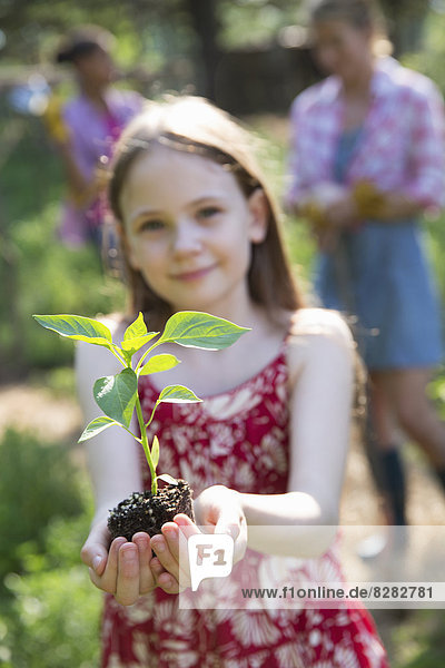 Garten. Ein junges Mädchen hält eine junge Pflanze mit grünem Laub und einem gesunden Wurzelballen in den Händen.
