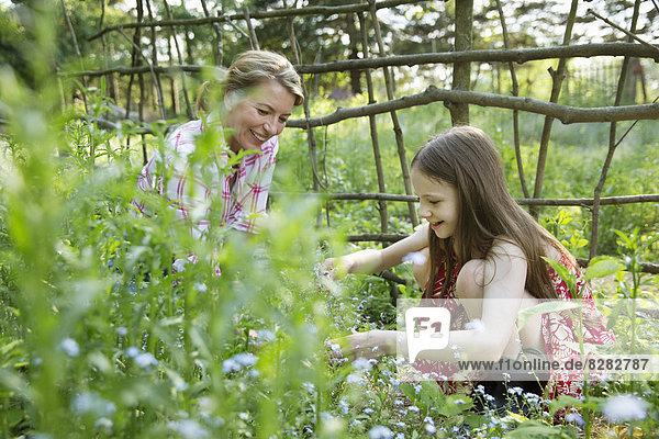 Eine Mutter und eine Tochter zusammen in einem Pflanzengehege mit einem selbstgebauten Zaun. Blumen und Pflanzen pflücken. Grünes Blattwerk.