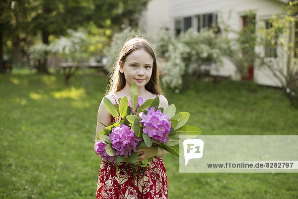 Ein junges Mädchen hält einen Strauß violetter Hortensienblütenköpfe.