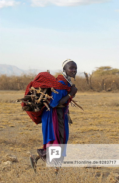 klar  jung  Mädchen  Masai  Tansania