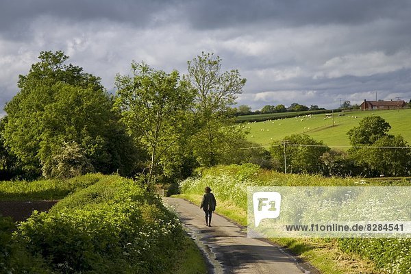 Women walks down a country lane  Oxfordshire  United Kingdom