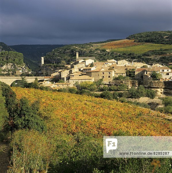 Frankreich  Europa  über  Dorf  Ansicht  Weinberg  Languedoc-Roussillon