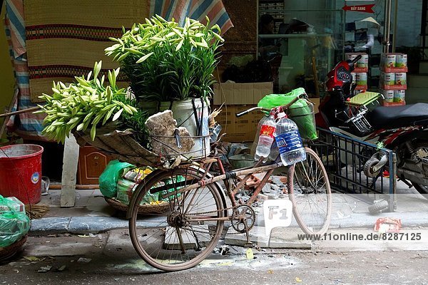 Hanoi  Hauptstadt  Blume  alt  Viertel Menge  Vietnam