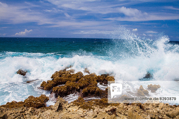 Wellen krachen über Felsen  Palm Beach  Oranjestad  Aruba