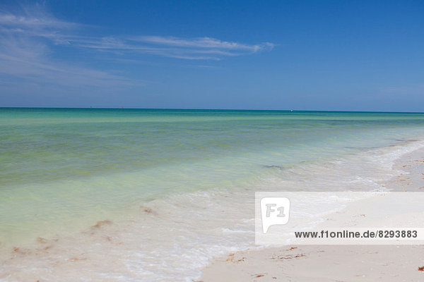 Beachscape  Clearwater  Florida  Vereinigte Staaten von Amerika