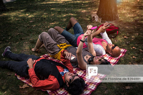 Friends lying on blanket in park