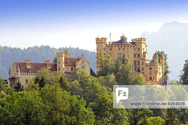 Fachwerkhaus und Schloss Hohenschwangau  Allgäu  Bayern  Deutschland  Europa