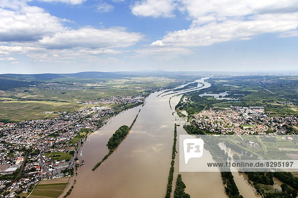 Deutschland  Rheinhochwasser bei Ingelheim und Oestrich  Luftaufnahme