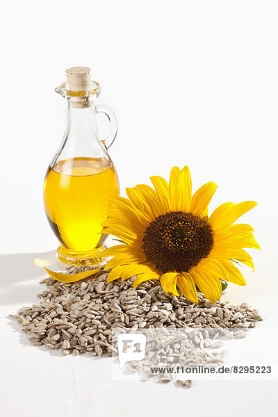 Sunflower with sunflower seeds and sunflower oil