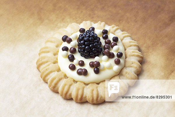 Pie with vanilla pudding  blackberry and chocolate beans  studio shot