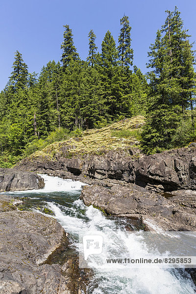 Kanada  Britisch-Kolumbien  Vancouver Island  Elk Falls Provincial Park