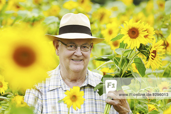 Germany,  ,  senior with sunflowers
