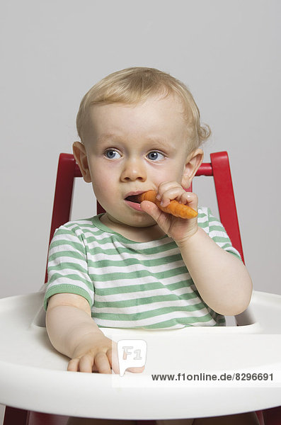 Baby boy eating carrot  studio shot