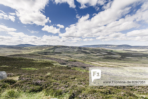 Great Britain  Scotland  landscape at Perthshire