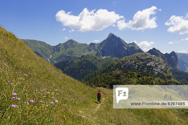 Italy  Friuli-Venezia Giulia  Carnic Alps  Hiker at Kleiner Pal