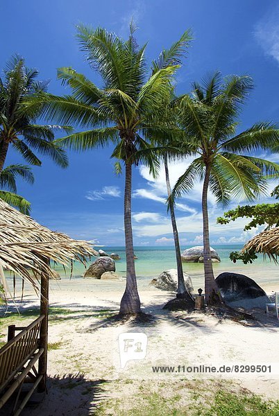 Südostasien  Asien  Koh Samui  Thailand