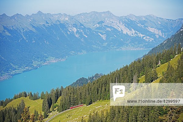 Europa See Ansicht Westalpen Berner Oberland Interlaken Schweiz Schweizer Alpen