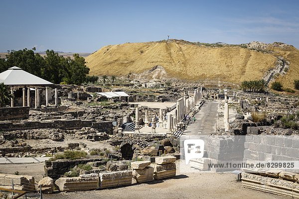 Ruins of the Roman-Byzantine city of Scythopolis  Tel Beit Shean National Park  Beit Shean  Israel  Middle East