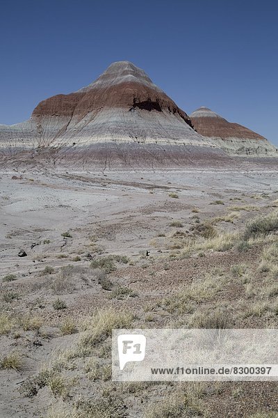 Vereinigte Staaten von Amerika  USA  Nordamerika  Arizona  glatt  Bentonit  Sedimentgestein  Lehm