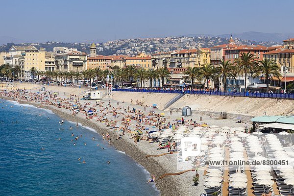 Frankreich Europa Freundlichkeit Provence - Alpes-Cote d Azur Cote d Azur Alpes maritimes