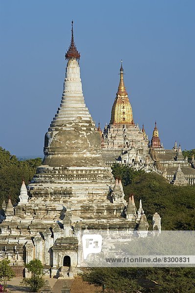 Bagan (Pagan)  Myanmar (Birma)  Asien