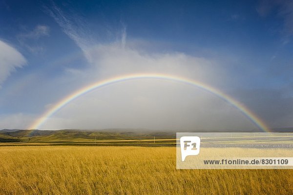 Island  Regenbogen
