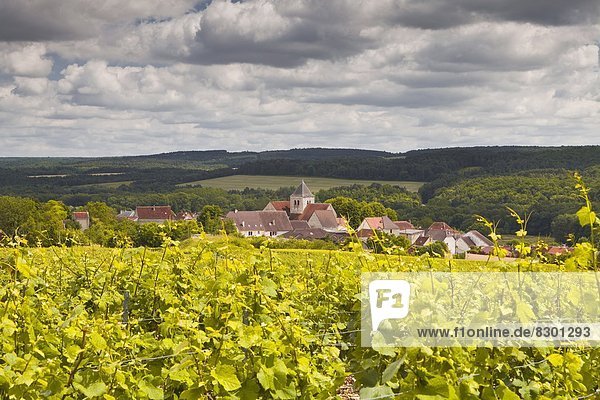 Champagne vineyards above the village of Landreville in the Cote des Bar area of Aube  Champagne-Ardennes  France  Europe
