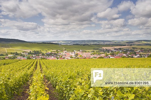 Champagne vineyards above the village of Baroville in the Cote des Bar area of Aube  Champagne-Ardennes  France  Europe