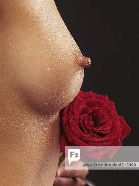 Red rose nude